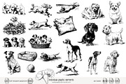 95 line art Dogs clip art, an Animal Illustration by Poppy Lane Studio (Thumbnail 3 of 11)