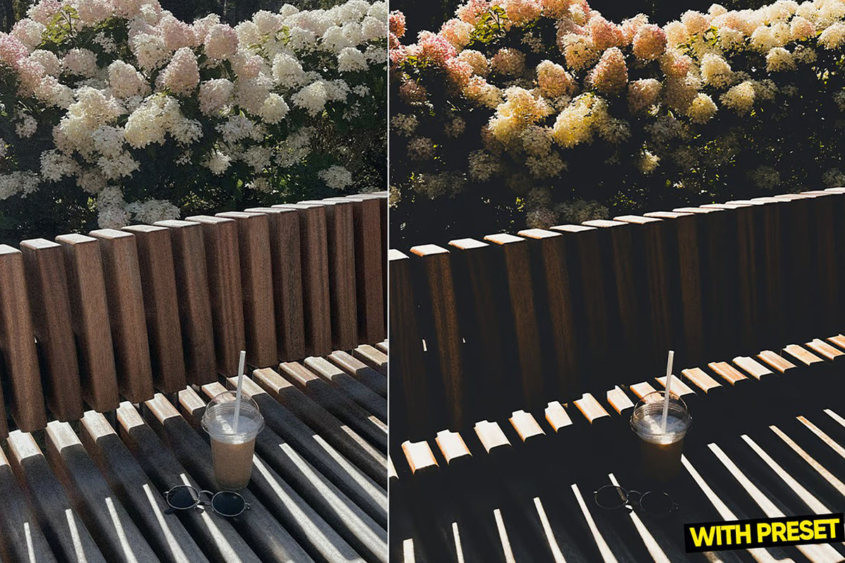 Faded World Presets for Lightroom, a Preset Add-On by Hubzway (Photo 2 of 5)