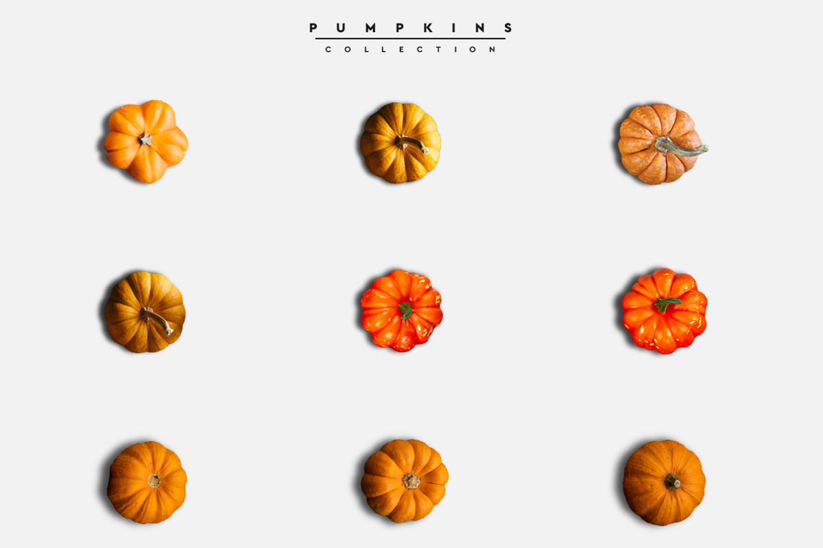 Big Pack Scene Generator, a Cups & Container Mockup by Mila (Photo 24 of 44)