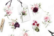 Amanda | Botanical set | 205 images, an Illustration by Karma (Thumbnail 15 of 27)