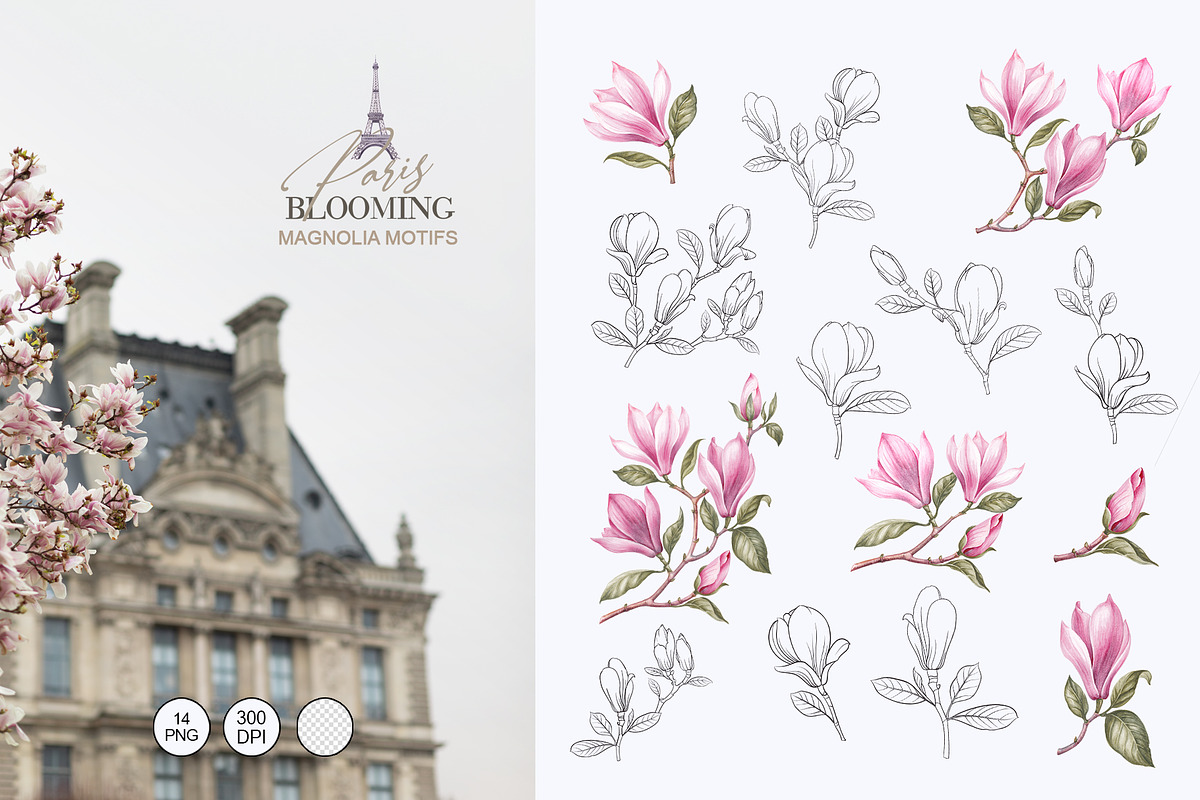 Blooming Paris. Motifs,Frame,pattern, an Illustration by Kotkoa (Photo 5 of 21)