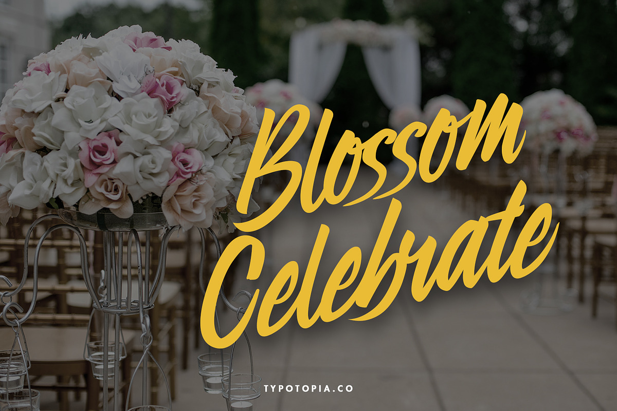 Preteoria Script, a Script Font by edukka (Photo 6 of 10)