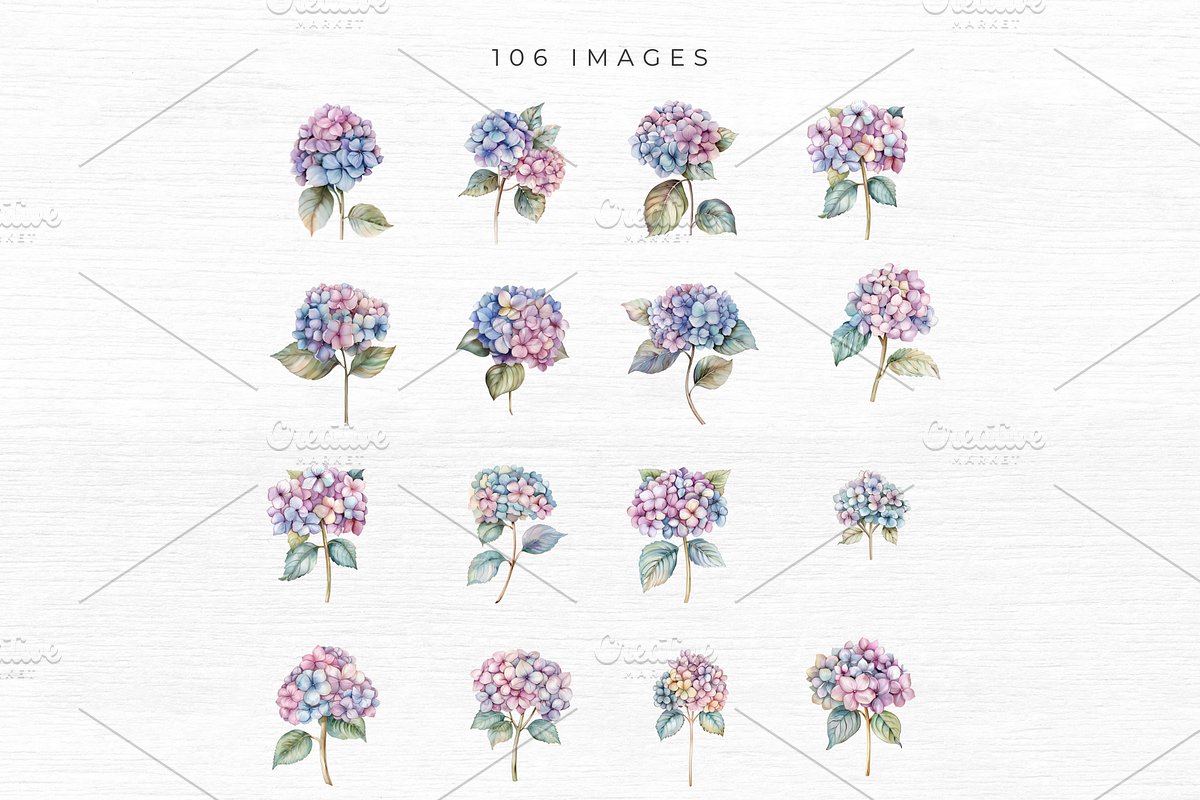 Hydrangea Clipart, Floral Clipart,, an Object Graphic by EllyandLima (Photo 6 of 9)