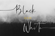 Balnes | Modern Script, a Script Font by Ef Studio (Thumbnail 4 of 7)