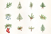 Watercolor Fir Tree Branch Clipart, an Illustration by CrexoraLab (Thumbnail 2 of 5)