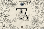 Botany Line Art Collection, a Decorative Illustration by Skliarova (Thumbnail 1 of 10)