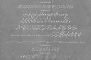Enhattica Signature Script Font, a Script Font by NTC Graphic (Thumbnail 8 of 9)