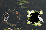 Swamp flora and fauna, an Animal Illustration by kateja (Thumbnail 3 of 6)
