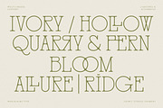 Marjolaine Type - A delicate Serif, a Serif Font by CarmineType (Thumbnail 6 of 24)