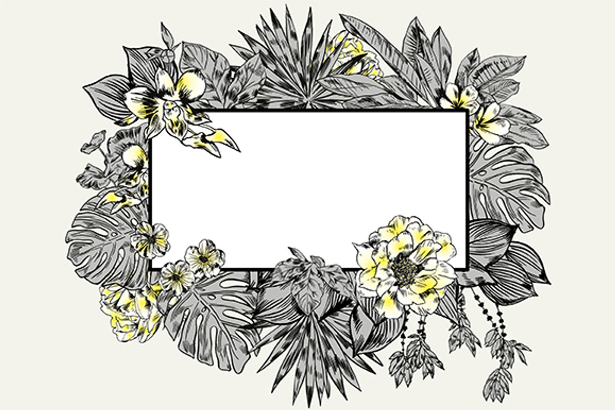 TROPIC set 2, a Decorative Illustration by Tanya Akhmett (Photo 8 of 10)