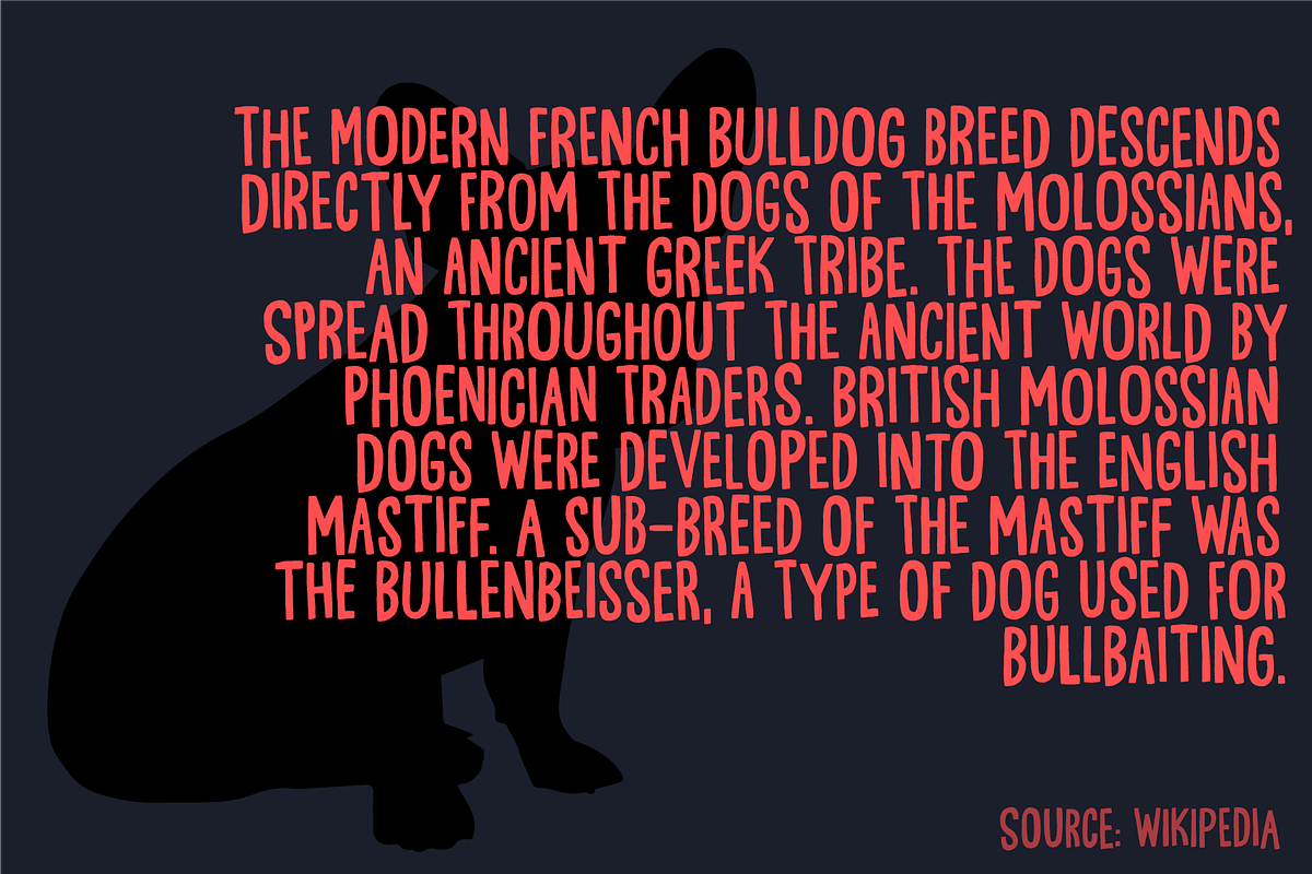 Guideline font, a Sans Serif Font by pizzadudedotdk (Photo 2 of 4)