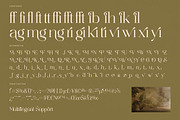 Agiantie | Elegant Tall Serif, a Serif Font by timelesstype.co (Thumbnail 19 of 20)