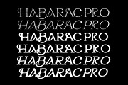 Habarac | Modern Elegant Serif Font, a Serif Font by Typoraith Co (Thumbnail 2 of 15)