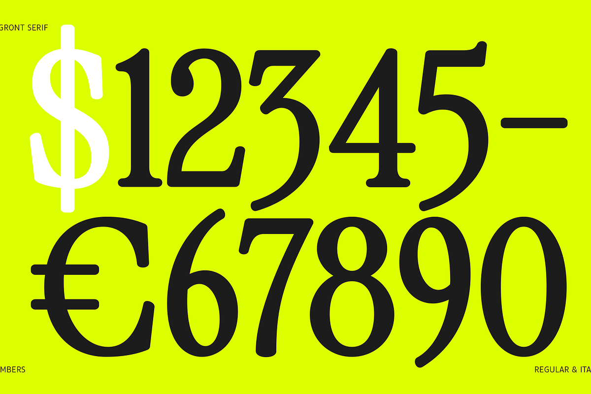 Cagront Serif, a Serif Font by studiobasic (Photo 10 of 10)