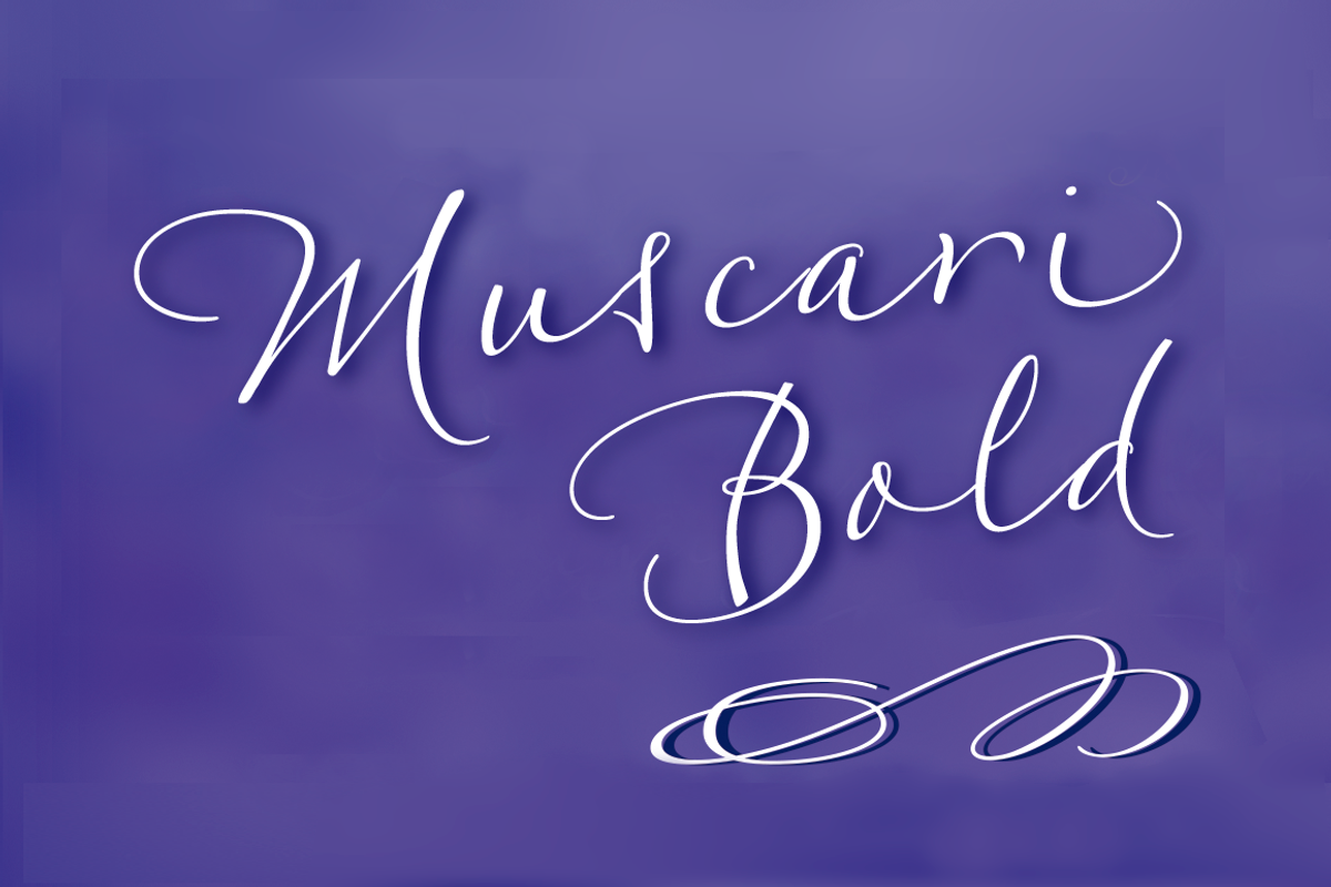 Muscari Bold