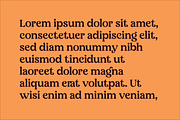 Chasy, a Script Font by Design House (Thumbnail 3 of 3)