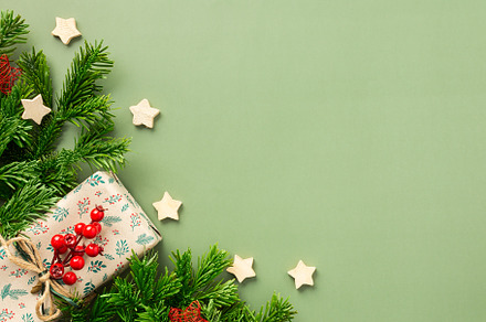 Christmas festive background, a Photo by Pandateam