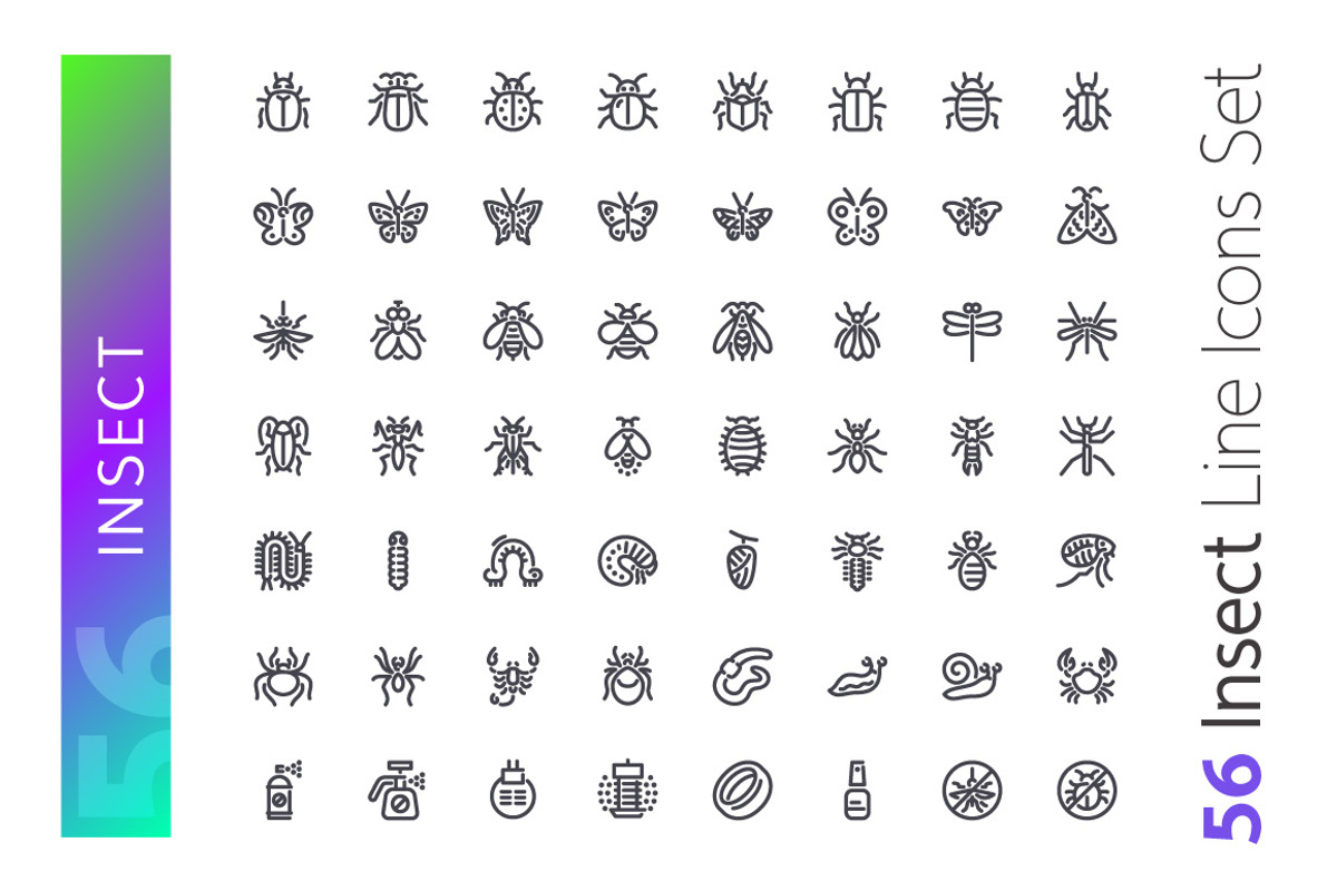 Insect Line Icons Set, an Outline Icon by Voysla's Shop (Photo 2 of 4)