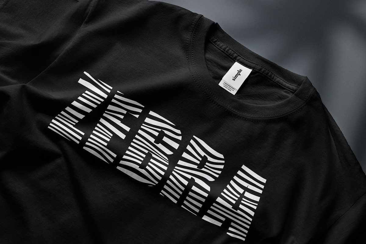Zebra Sans Serif, a Sans Serif Font by Nickhard (Photo 2 of 7)