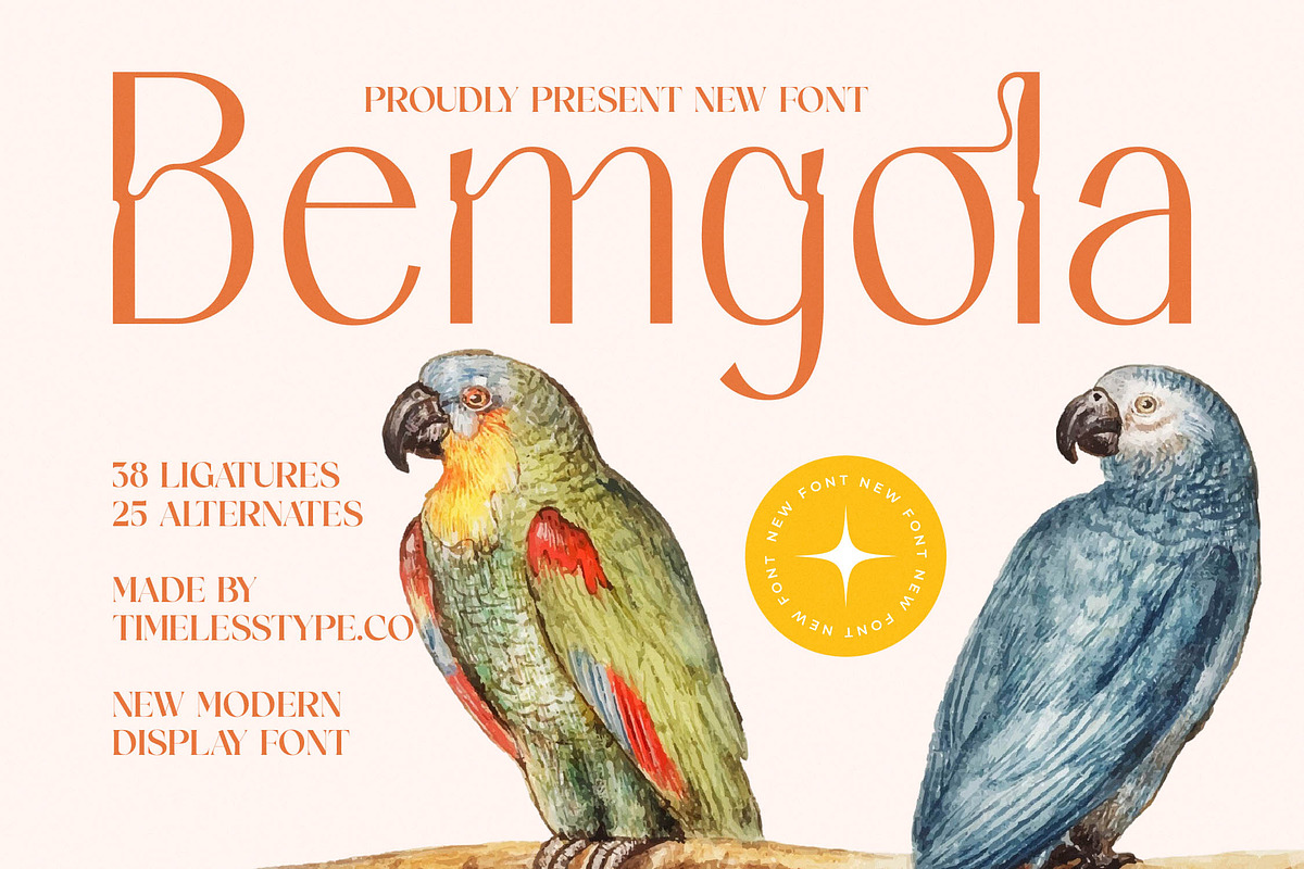 Bemgola Modern Display Serif, a Serif Font by timelesstype.co (Photo 1 of 20)