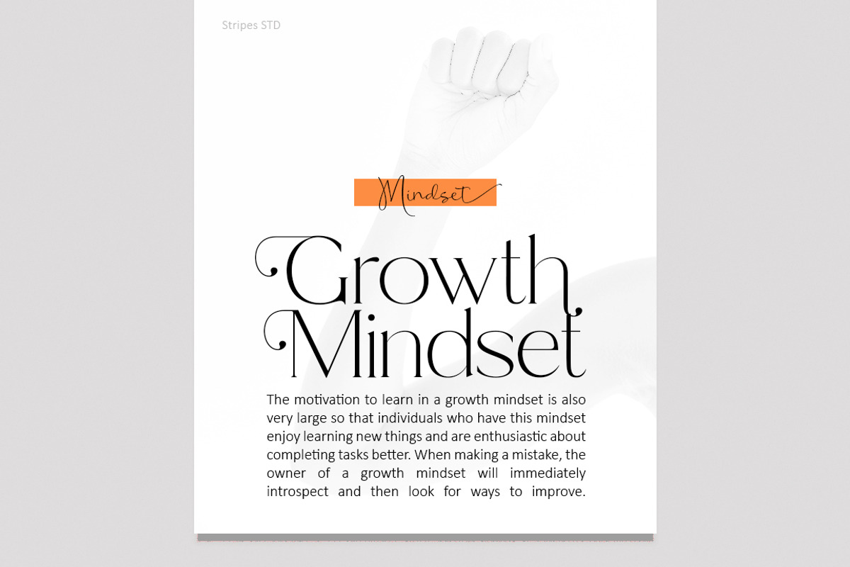 Marie Cortney, a Serif Font by Stripes Studio (Photo 2 of 14)