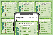10 Canva Plant Top 5s Instagram Post, a Social Media Template by Emerald Eyes Design (Thumbnail 4 of 5)