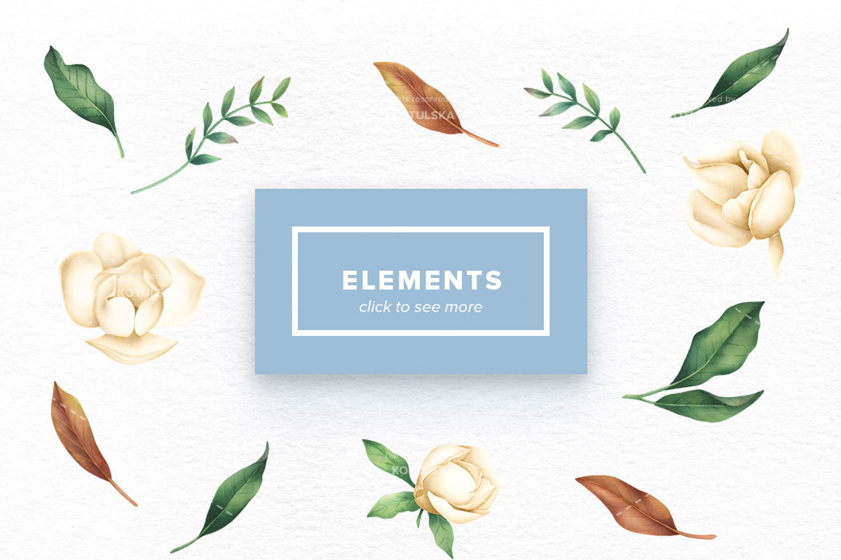 Watercolor Magnolia Flowers Set, an Object Graphic by Kotulska (Photo 2 of 3)