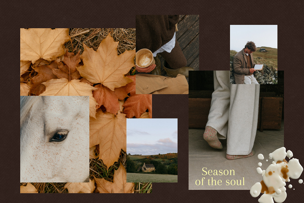 90+ Autumn Stock Photos, a Nature Photo by Trissa (Photo 6 of 12)