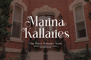 Baigop Modern Serif Font, a Serif Font by Perfectype (Thumbnail 4 of 8)