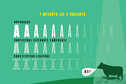 Aliens and Cows - 7 styles, a Sans Serif Font by Zetafonts (Thumbnail 3 of 8)