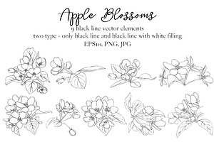 Apple Blossoms