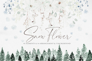 Watercolor flower - Snow flower, an Illustration by Beigetime
