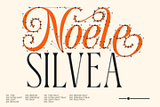 Dh Nottera Elegance - 7 Fashion Font, a Serif Font by Dharmas Foundry (Thumbnail 6 of 17)