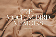 Idealist Serif, a Serif Font by Nicky Laatz (Thumbnail 25 of 34)