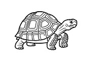Turtle Line Art Illustration Bundle, an Illustration by Creativeshirt (Thumbnail 17 of 48)
