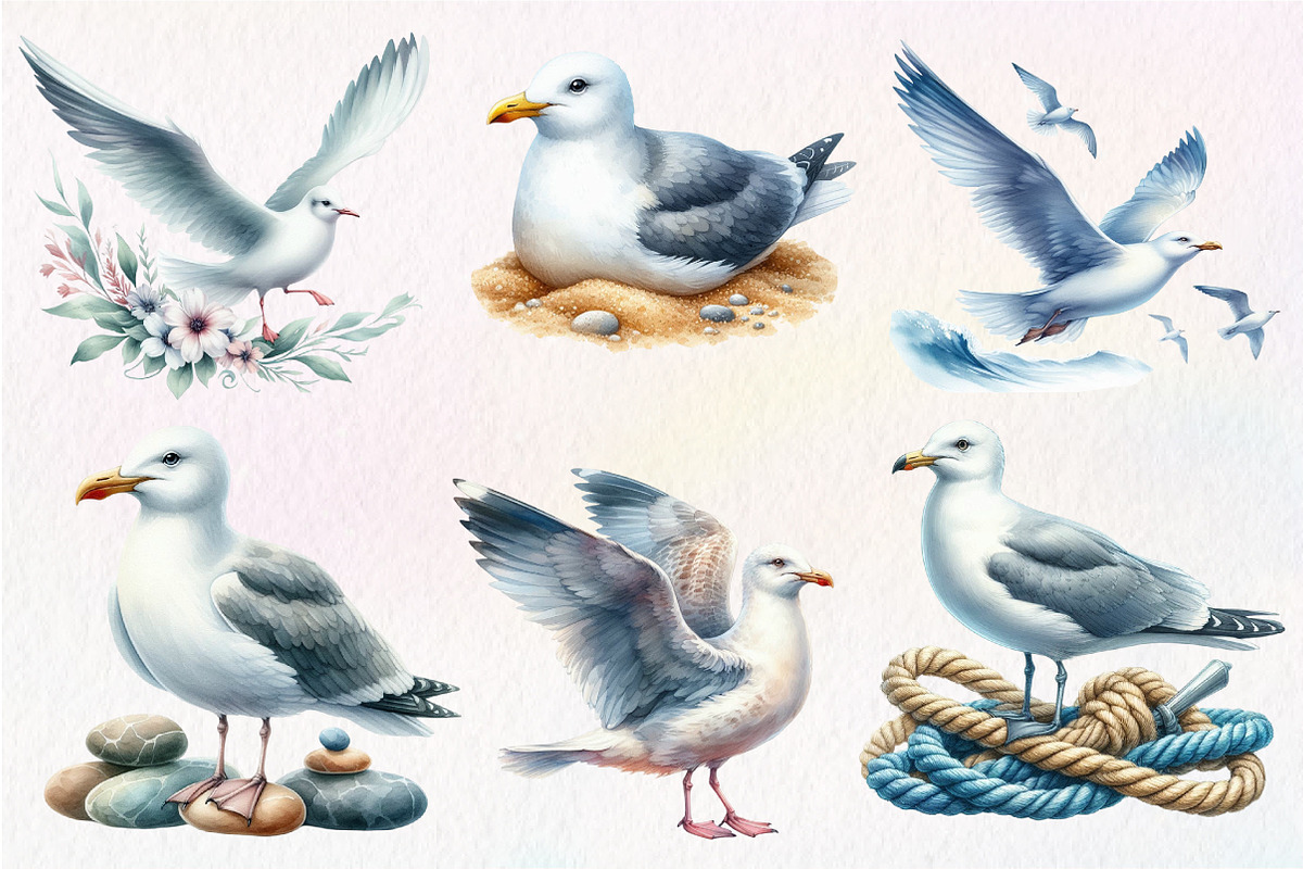 Watercolor Seagulls Clipart, an Illustration by Dream Creation (Photo 6 of 7)
