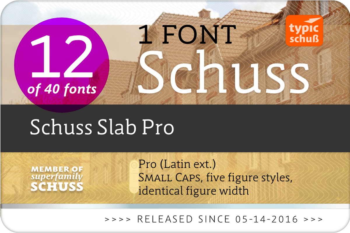 SchussSlabPro No.12 (1 Font) preview 3