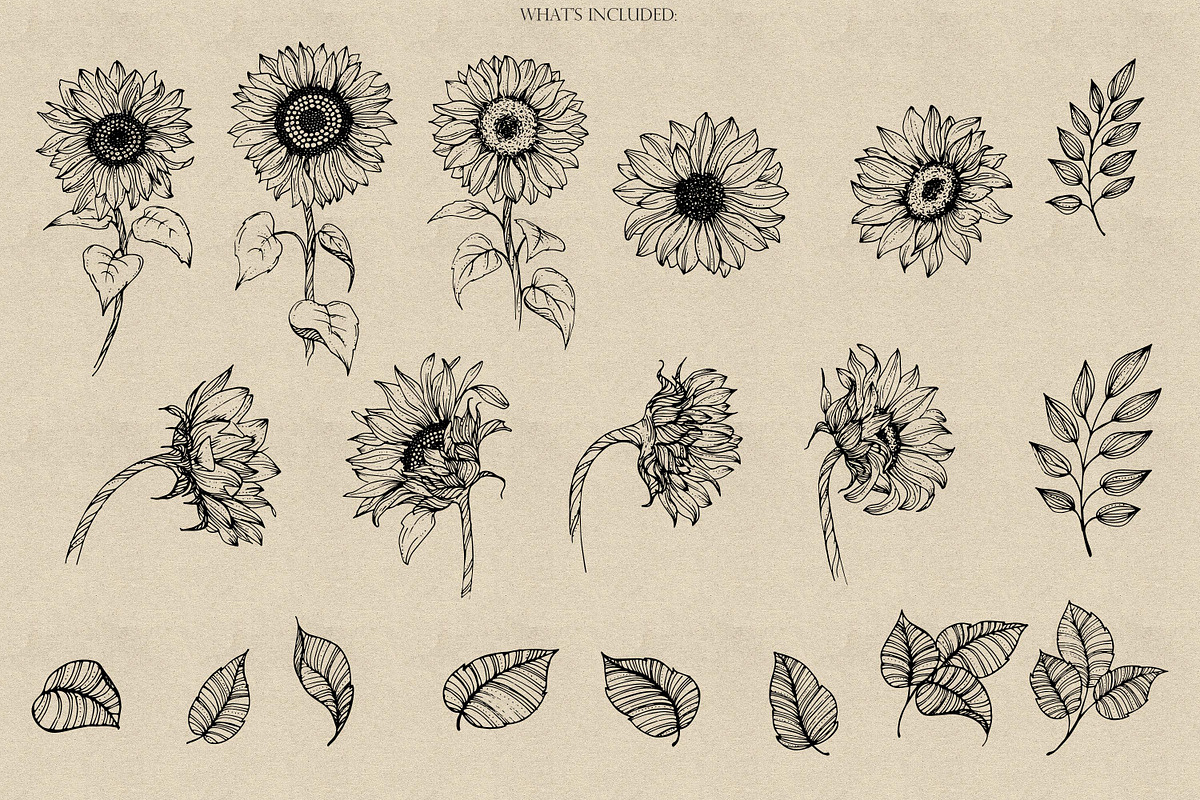 Sunflowers Procreate Stamps, a Brush Add-On by Dervik Art Store