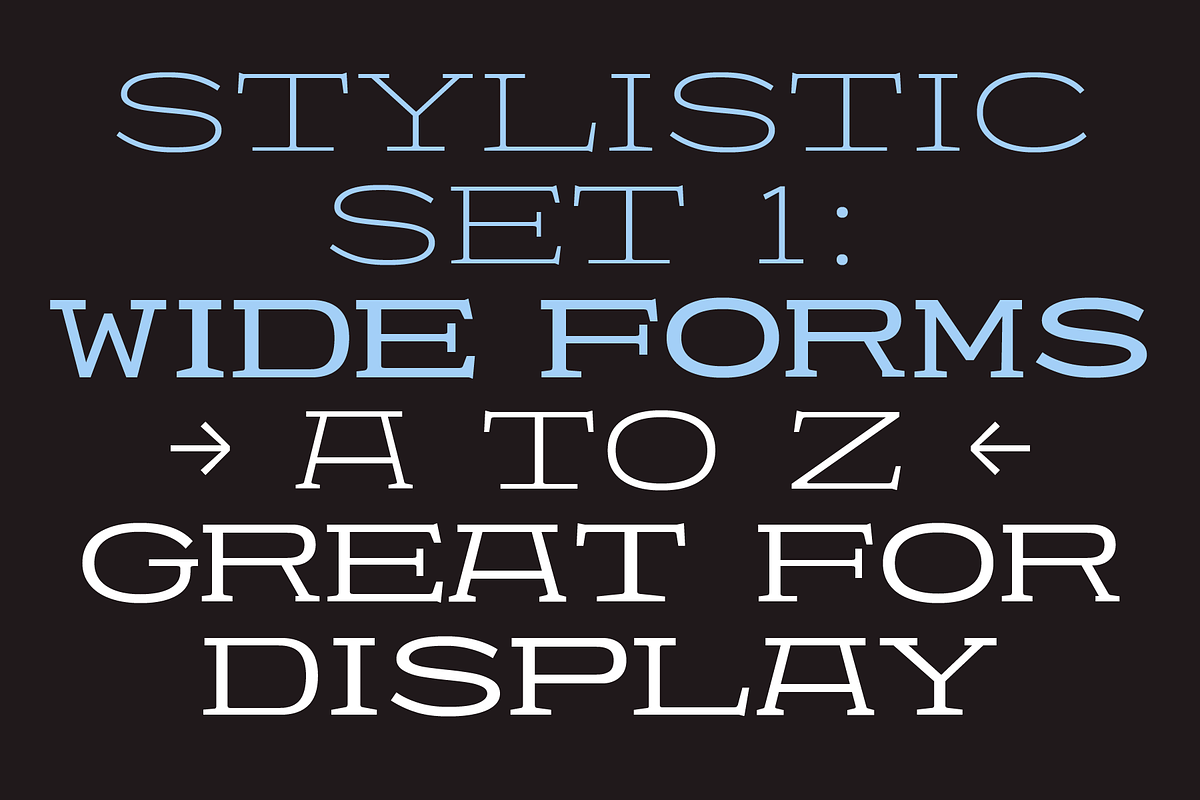 403 Felgrit, a Slab Serif Font by 403 Type Foundry (Photo 12 of 15)