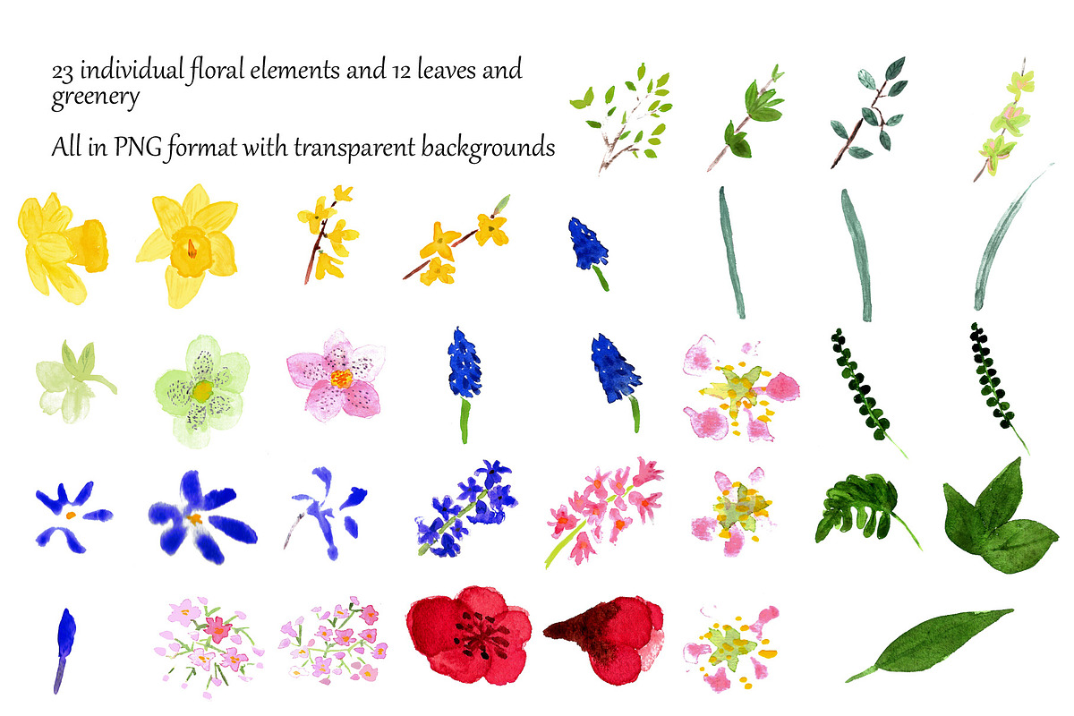 The Cottage Garden in Early Spring, an Illustration by Juliet Chase (Photo 10 of 11)