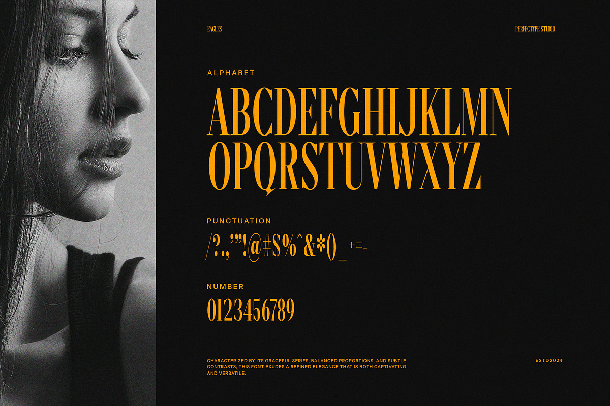 Eagles Serif Font, a Serif Font by Perfectype (Photo 8 of 8)