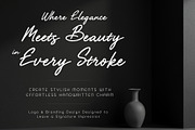 AIRFI - Signature Luxury Handwriten, a Handwritten Font by HypeWorksCo (Thumbnail 5 of 13)