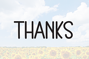 Sunflower | Script Font, a Script Font by Scratchones (Thumbnail 8 of 8)