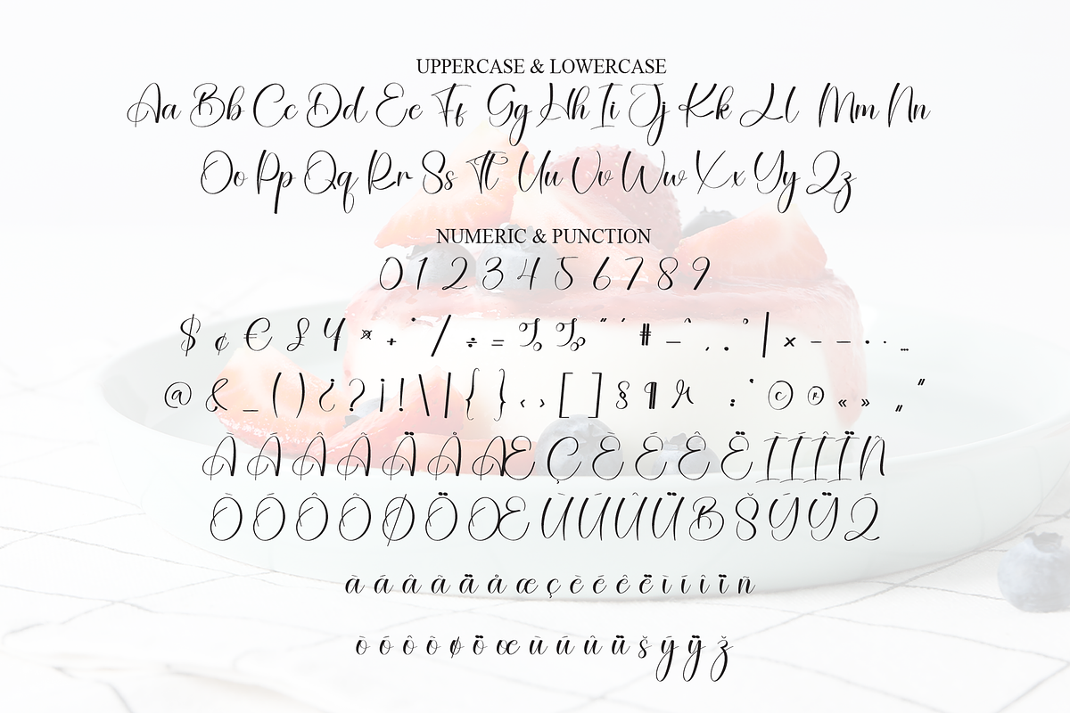 Pudding | Script Font, a Handwritten Font by Scratchones (Photo 7 of 8)