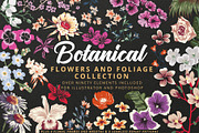 Botanical - Tropical Flowers, an Illustration by Sault Design (Thumbnail 1 of 5)
