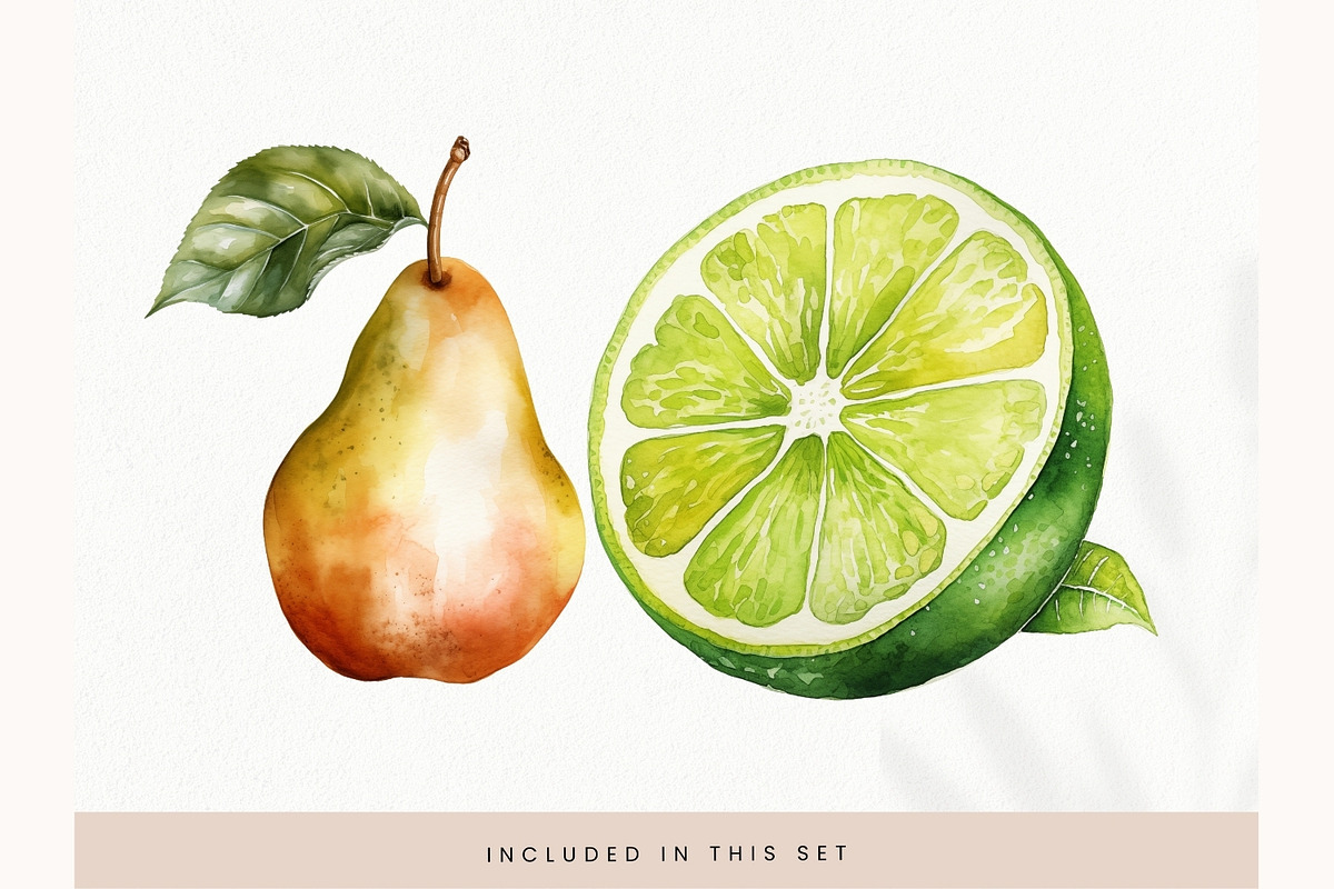 Watercolor Fruit Clipart, Fresh PNG, a Decorative Illustration by illuztrate (Photo 12 of 13)