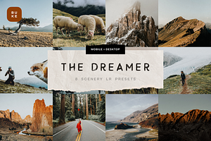 The Dreamer – 8 Lightroom Presets, a Preset Add-On by SHOOM HOUSE