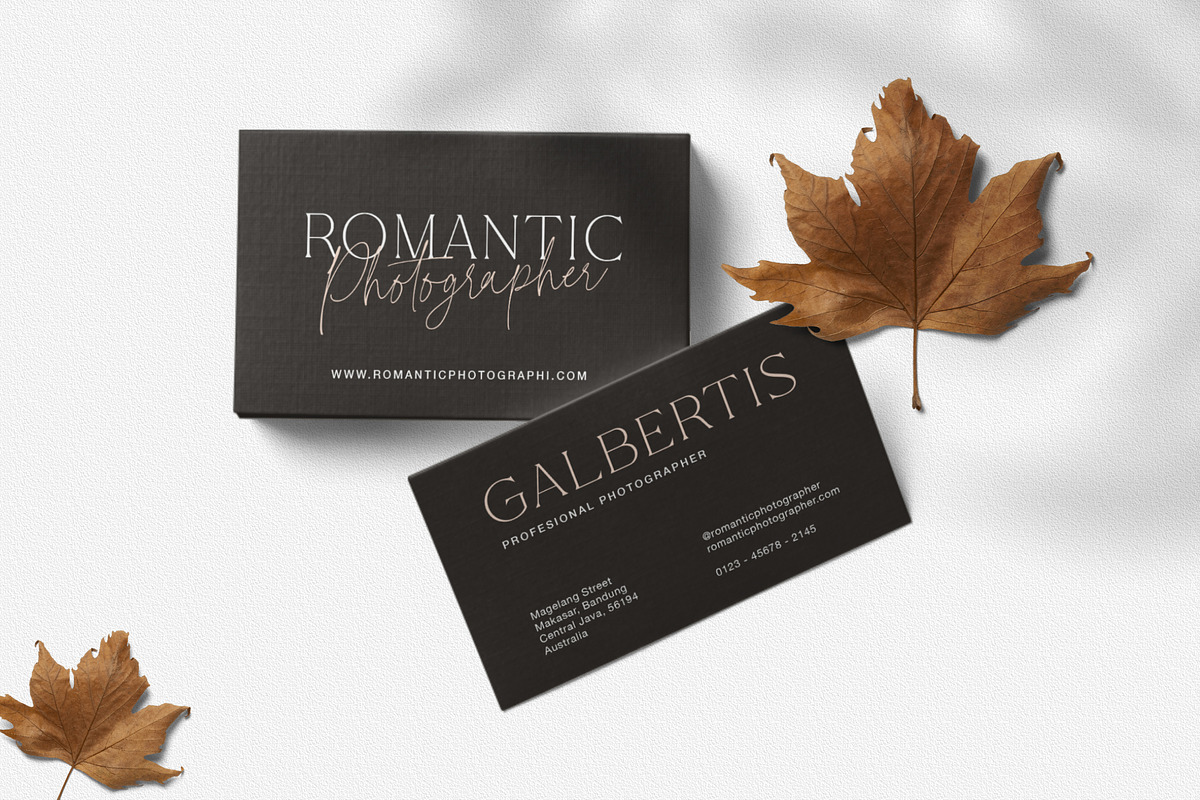 Beautiful Scarlet - Modern Font Duo, a Serif Font by TropicalSunlightCo. (Photo 4 of 11)
