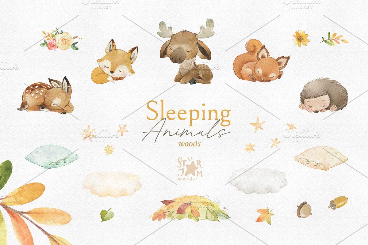 Sleeping Animals Collection, an Animal Illustration by StarJam (Photo 3 of 8)