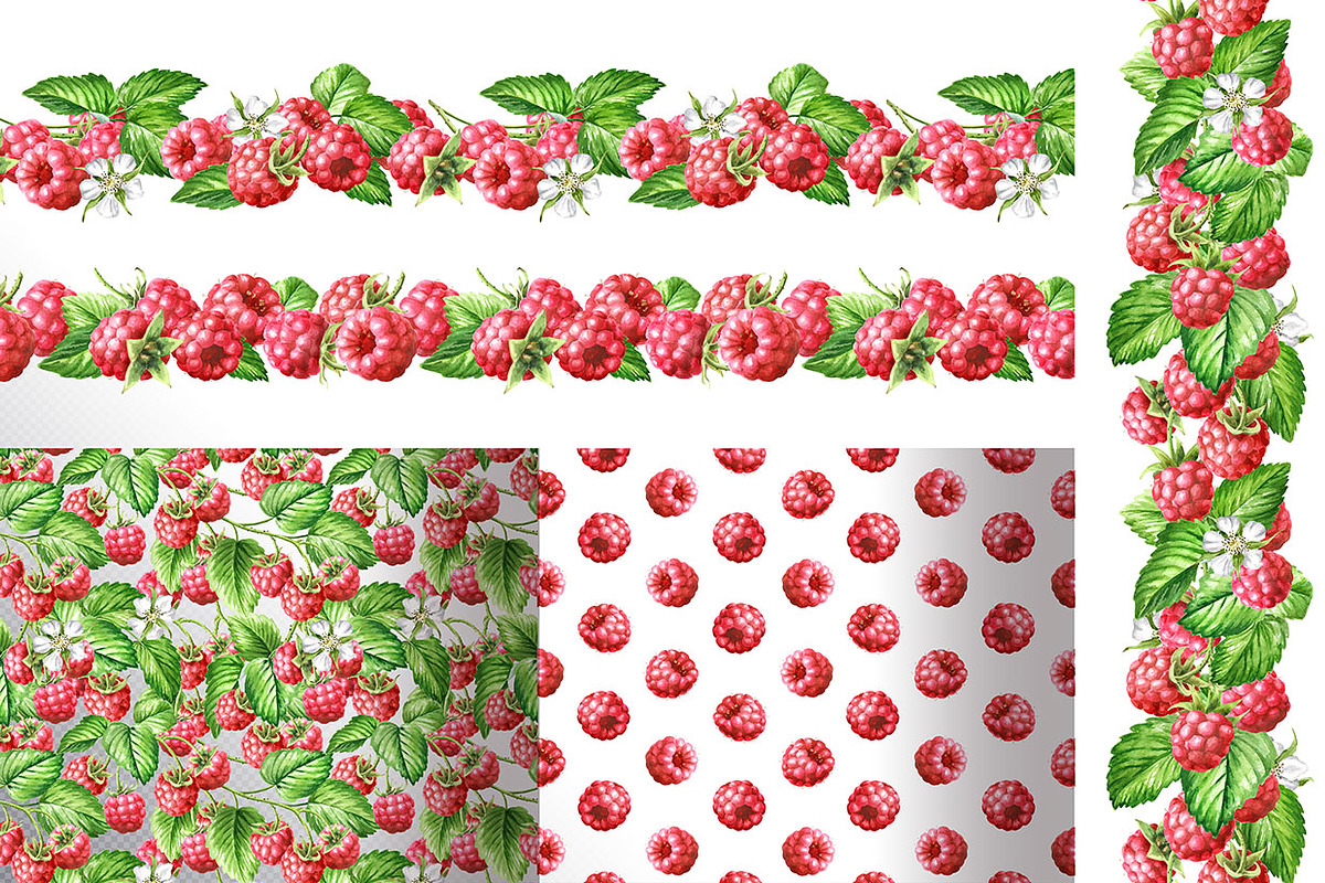 Summer Raspberries. Watercolor set, a Food Illustration by Daria Ustiugova (Photo 24 of 26)